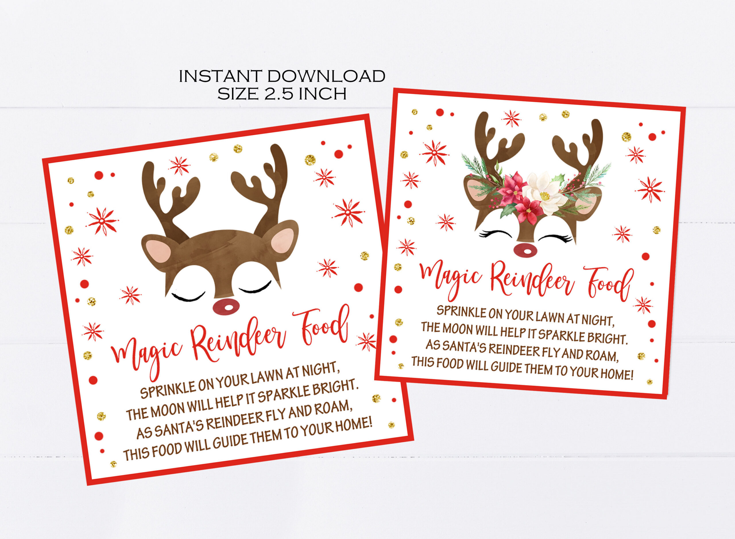 Magic Reindeer Food Tags Printable, Christmas Party Favors in Reindeer Food Tag Printable